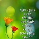 행복한공인중개사 이미지