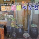 웰빙도림