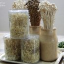 용광농장 이미지