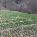 종근농장 이미지