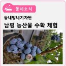 남평체험장