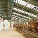 번영축산 이미지