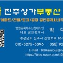 판문동-1 이미지