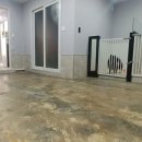 아지다펫 이미지