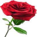 내고장탐방(일) 이미지