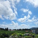 하례광장로 이미지