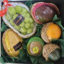 원앙캠핑장 | 첫 만남은 너무 어려워