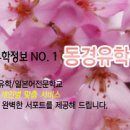 동유모닷컴 이미지