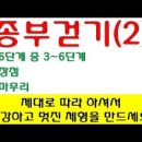 종부테라피