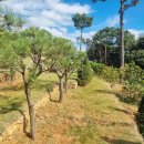 씨유 화성조암IC점 | 2025년 윤달, 화성수목장에서 가족의 평온한 안식을 준비하세요