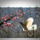 만의골로 이미지