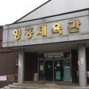 영흥체육관 네이버블로그