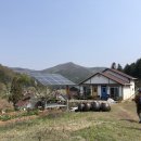 아리숲펜션 네이버블로그