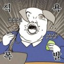 쳐묵쳐묵 이미지