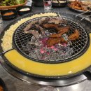 신갈매기 이미지