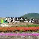 사이프러스골프리조트 | 사이프러스cc 회원권 매매 골프앤리조트 요금 서귀포시