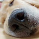 럭키PC바다 이미지