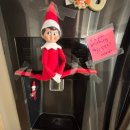 flex gym | 미국UNT교환학생 | 기숙사, 식당, 비용, 가을학기 후기