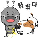 스테이 누누 이미지