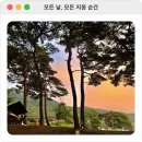 상양관광농원 | 보령 대천 | 대천오토캠핑장 상양관광농원 9번 사이트 후기