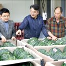 정읍단풍미인조합공동사업법인 이미지