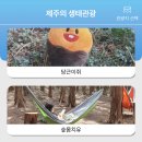 제주관광정보센터 이미지