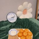 화복농장 이미지