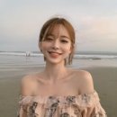 다모아패션 네이버블로그