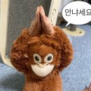 터무니하우스 | 평택 신상 맛집 코지하우스 세교점 솔직 방문 후기 : 가성비 좋은 레스토랑