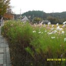 가평역 삼거리 2 이미지