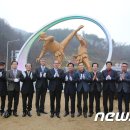 태권도 상징 조형물 이미지