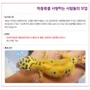 미남메디칼 이미지