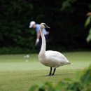 내집인제주 이미지