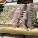 원조회세꼬시