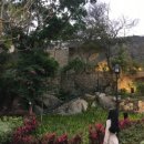 핑핑뽑기방 | 또 가다니 hongkong