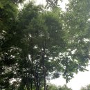 산돼지마을민박 이미지