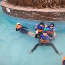 세종승리태권도 이미지