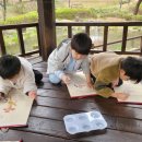 큰숲어린이집 이미지