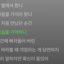 Ad Astra | [원위 - MAZE:AD ASTRA] 미로가 대중픽? 저는 대중이 아닌가요?