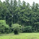 보도중로2-21(청솔초등학교) | 웃기는 조합으로 떠나는 제주도