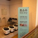 생생생공화국 이미지