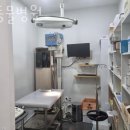 정 동물병원 이미지