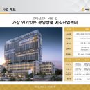 부성투자