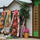 신우태양광발전소 이미지