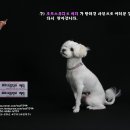 포토스튜디오씨티 이미지