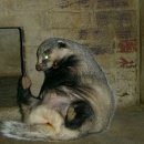 소사랑농장 이미지