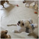 엄마 잘 다녀와 이미지