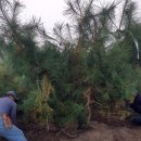 방죽골농장 이미지