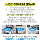 퀸스타운의원 네이버블로그