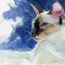 펜화 스케치 이미지